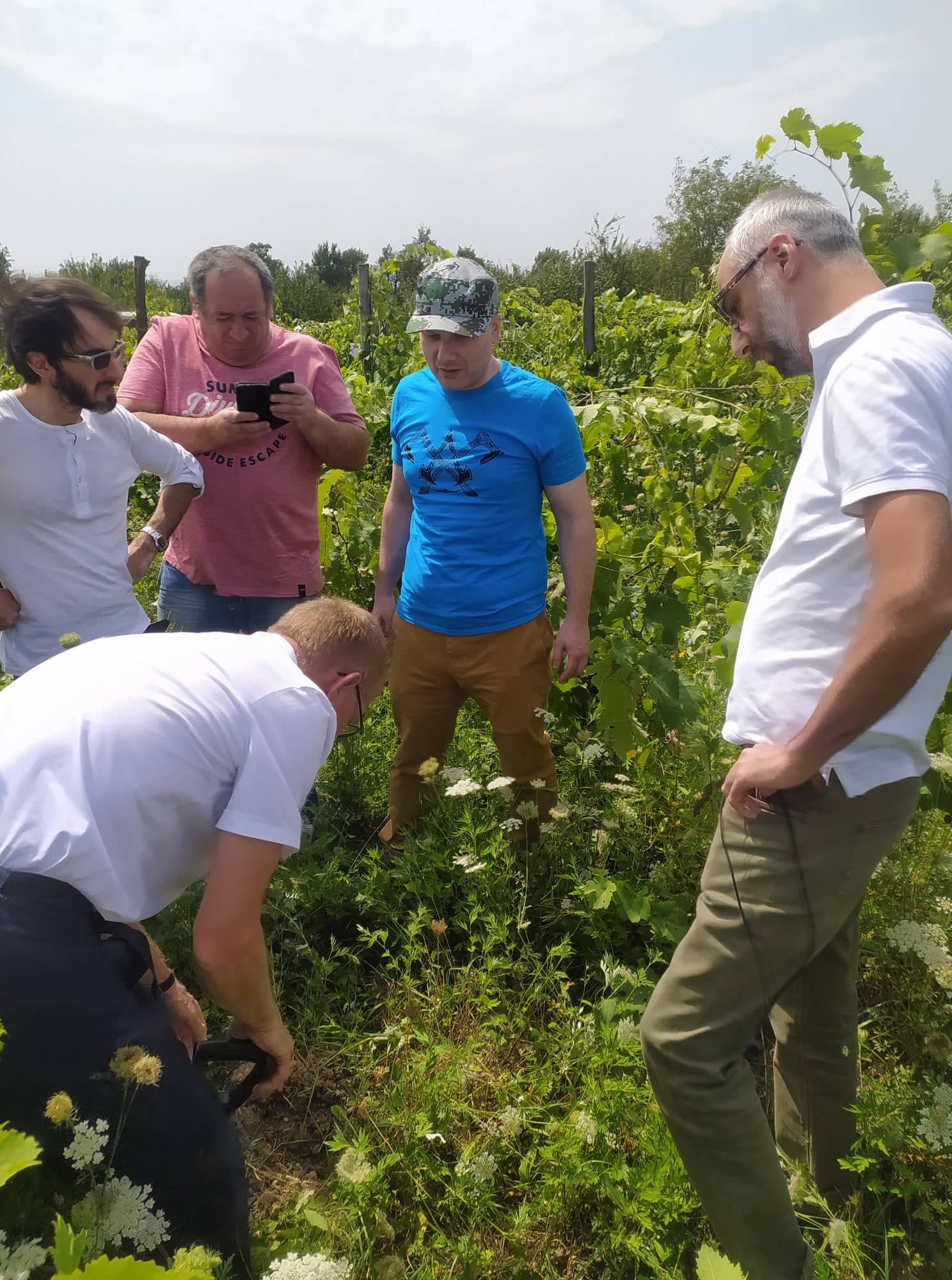 German expert support Natural Wine Association with improving its inspection process
