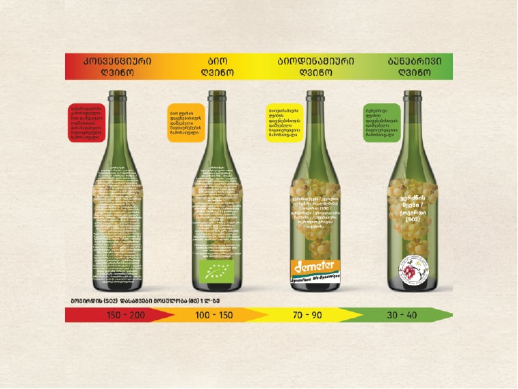 “What is Natural Wine?” – A New Social Media Campaign Starting September 2025