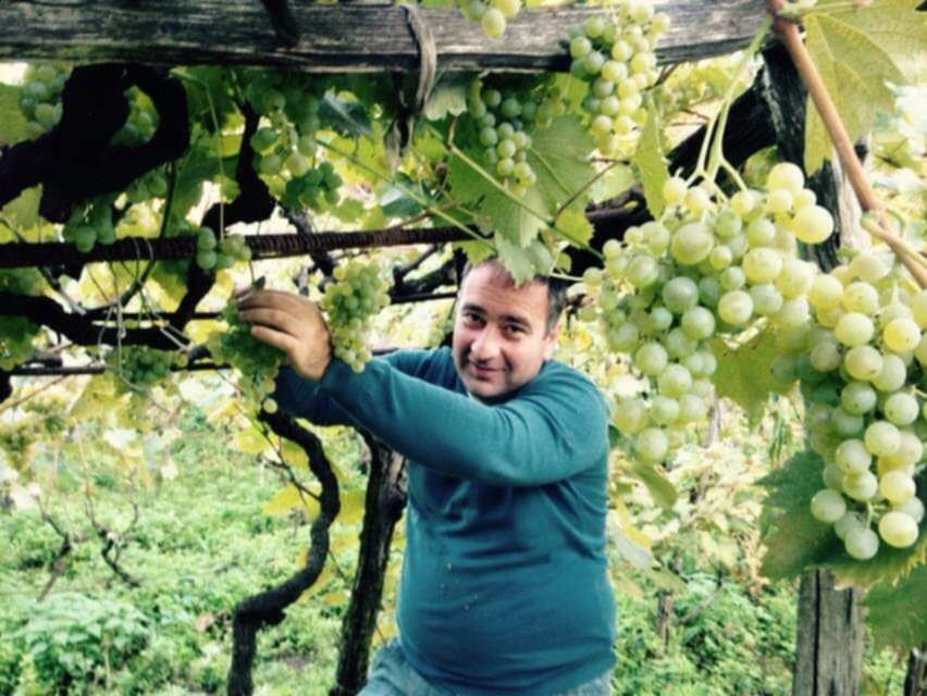 Murman Pansulaia: "Grape juice drawn from the ground should be returned to the ground temporarily"